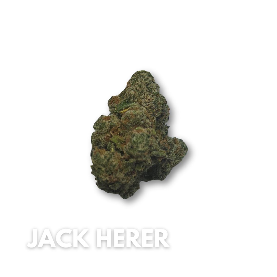 Jack Herer #T735 - 3.5g