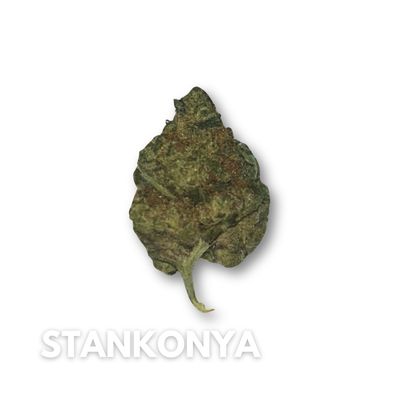 Stankonya #T743 - 3.5g