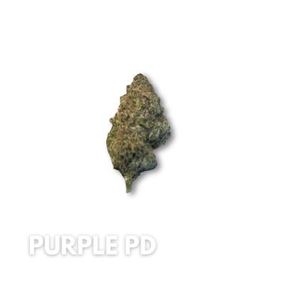 Purple PD #T753 - 3.5g