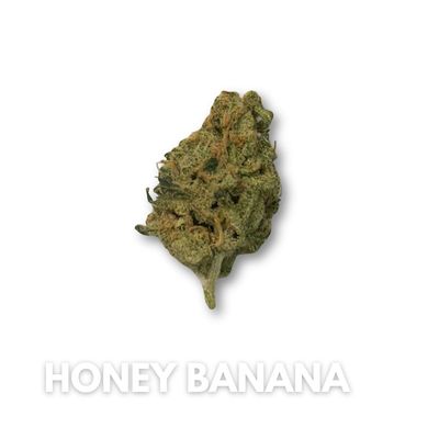 Honey Banana #T765 - 3.5g