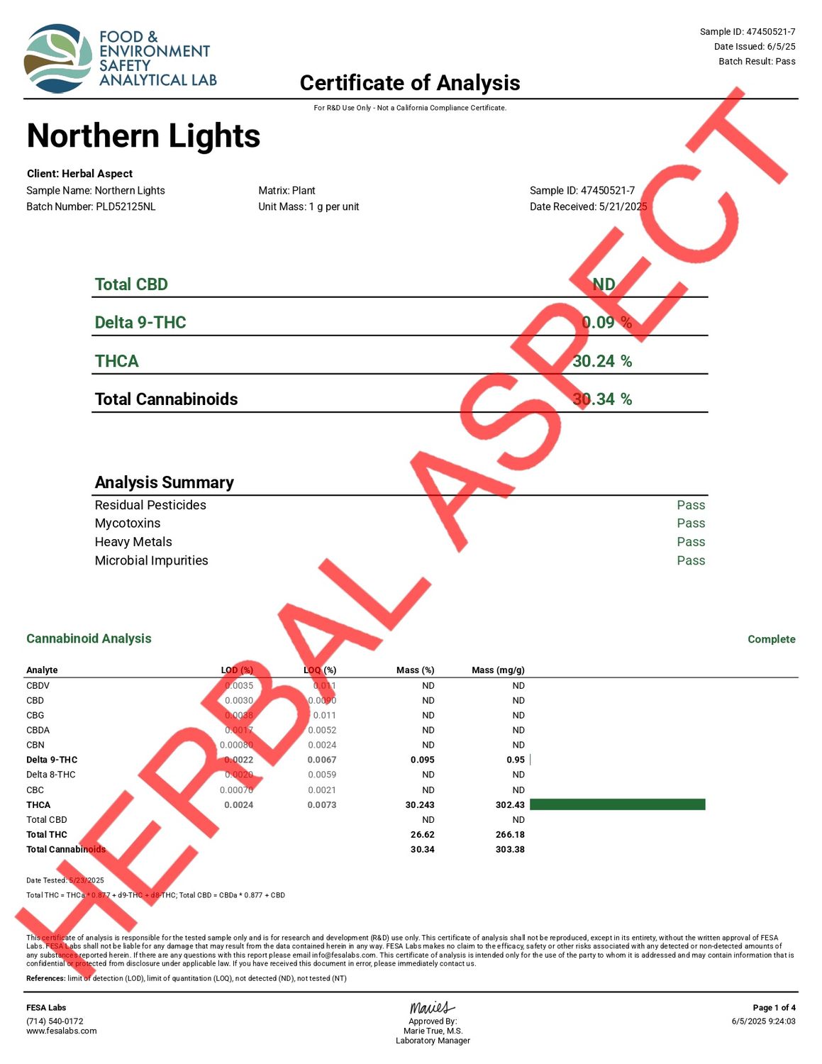 Northern Lights #T768
