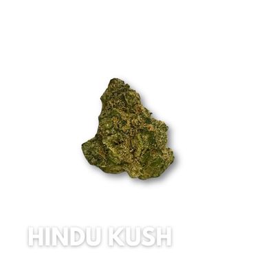 Hindu Kush #T769 - 3.5g