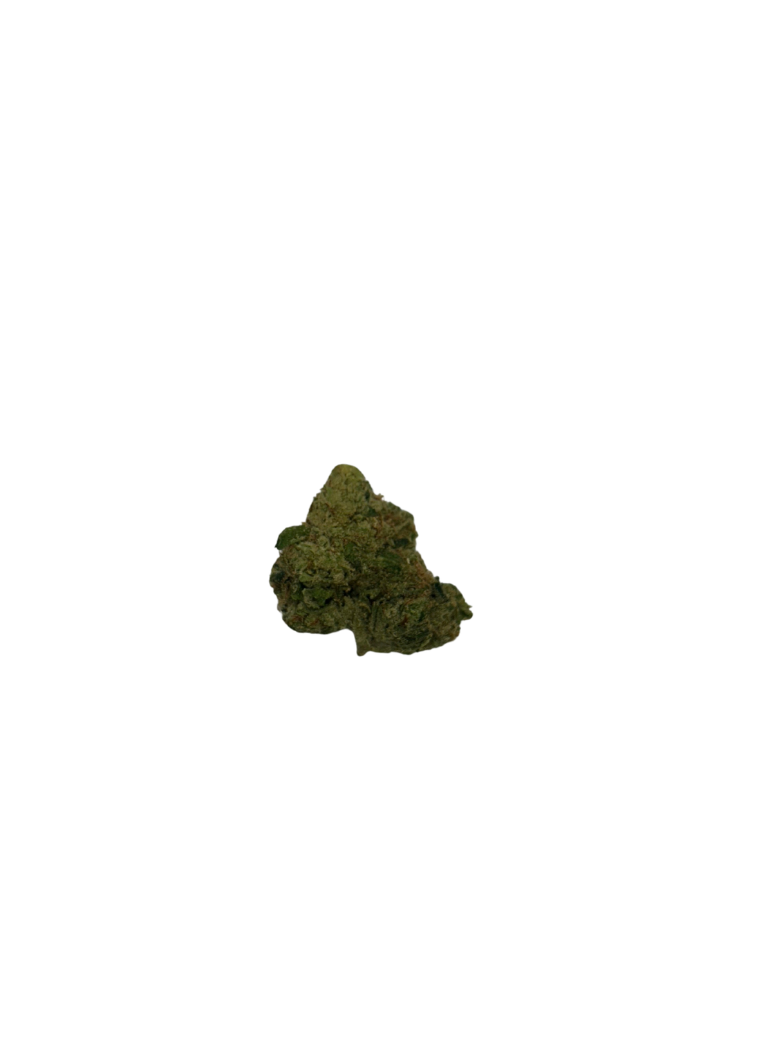 Northern Lights #T768