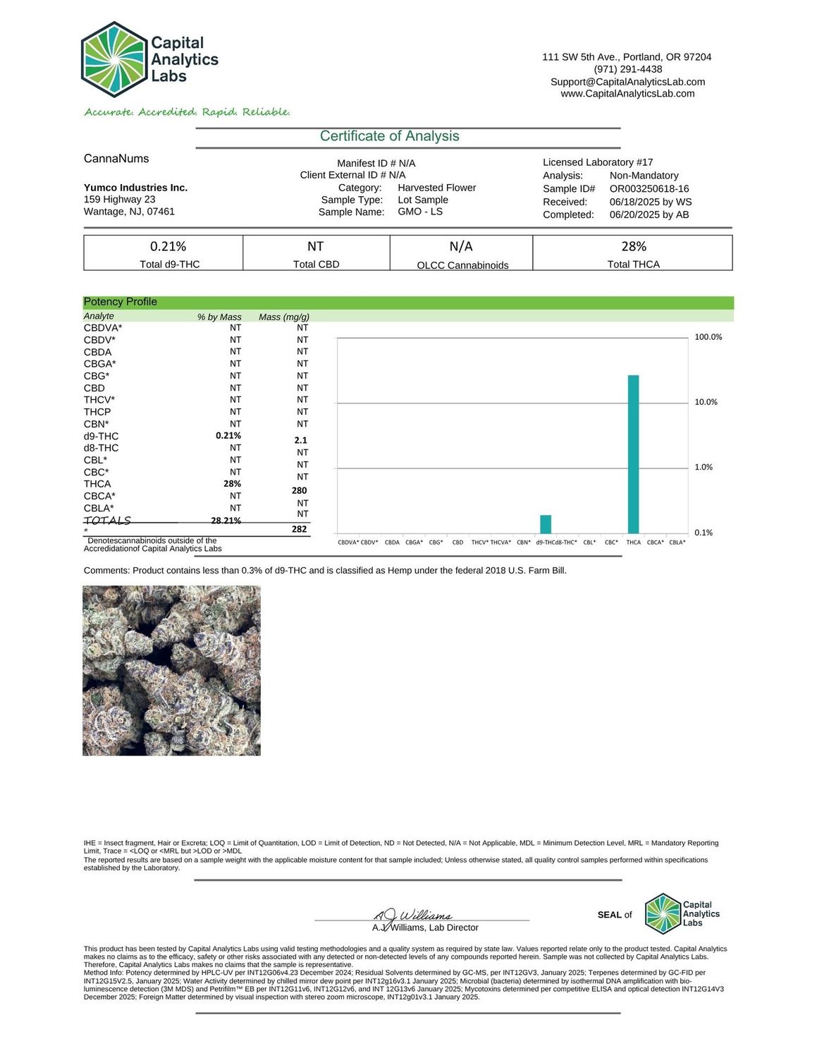 GMO #T775 - 3.5