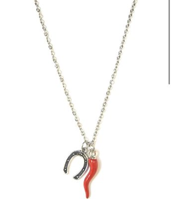 Collana acciaio corno portafortuna e ciampa cavallo Collana acciaio corno portafortuna e ciampa cavallo