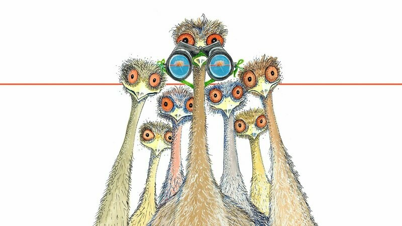Emu Lookout (A4)