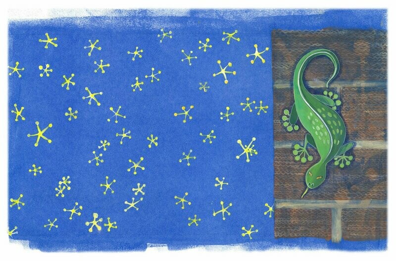Gekko Sticky Stars (A3)