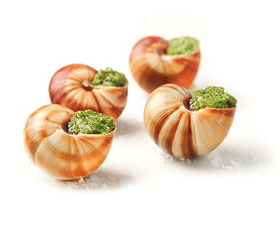 12 Escargots de Bourgogne ( Imported Burgundy Snails) In shell with garlic butter