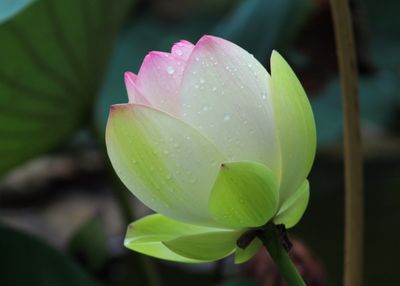 Soul Space Meditation