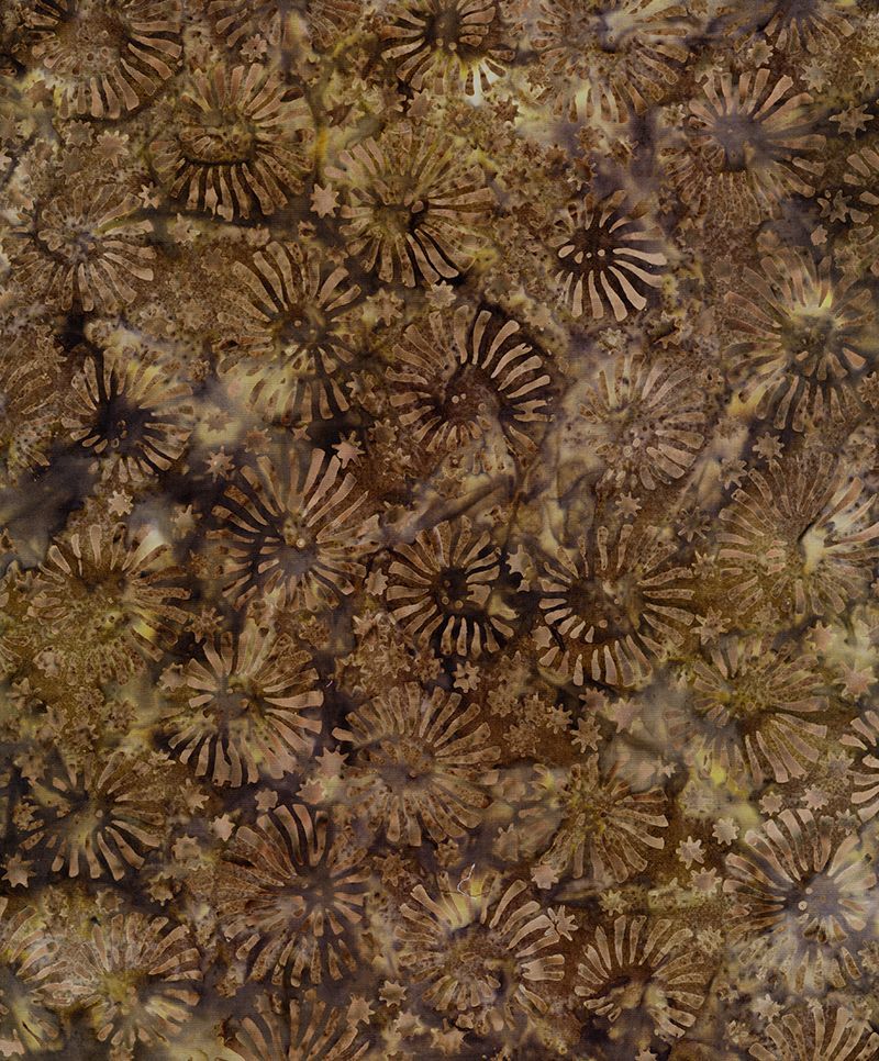 Windsong Tonga-B8214 ASH