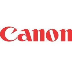 Canon Tusz PG-540L Black 300str