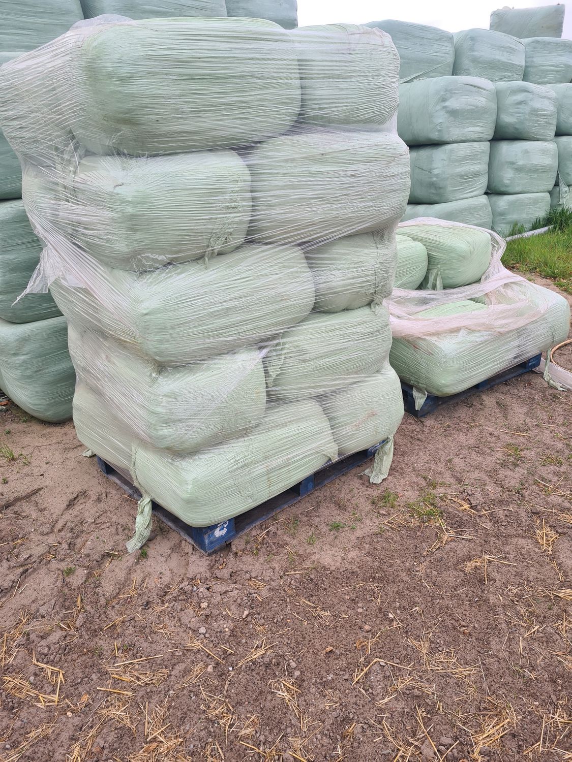 Voordrooghooi kleine pakken 40 kg