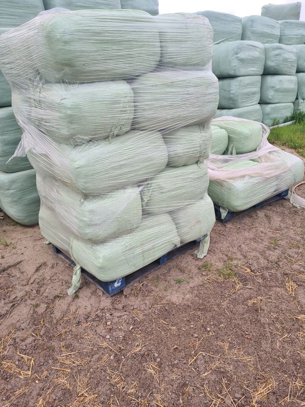 Voordrooghooi kleine pakken 40 kg