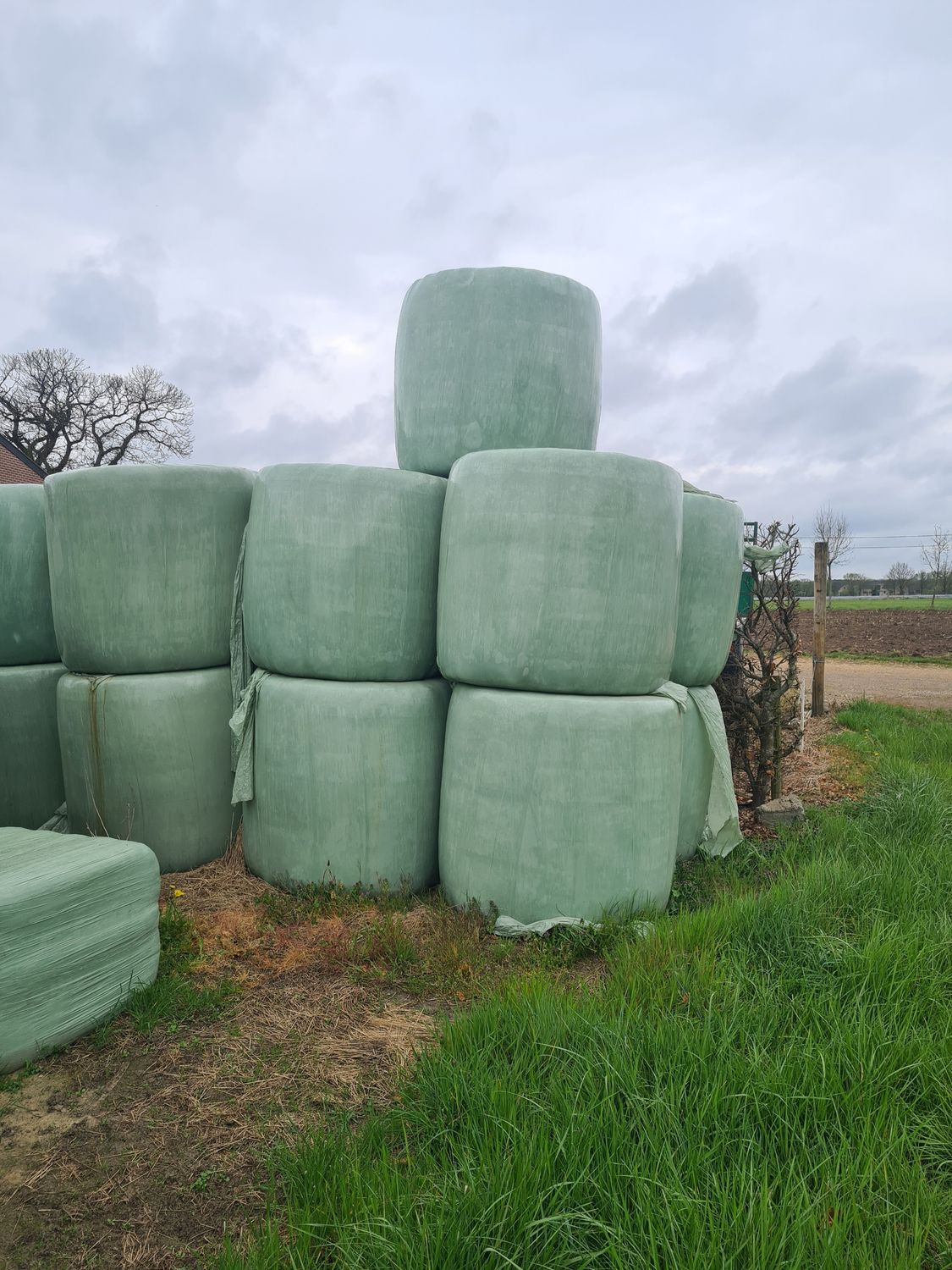 Voordrooghooi ronde pakken 300 kg