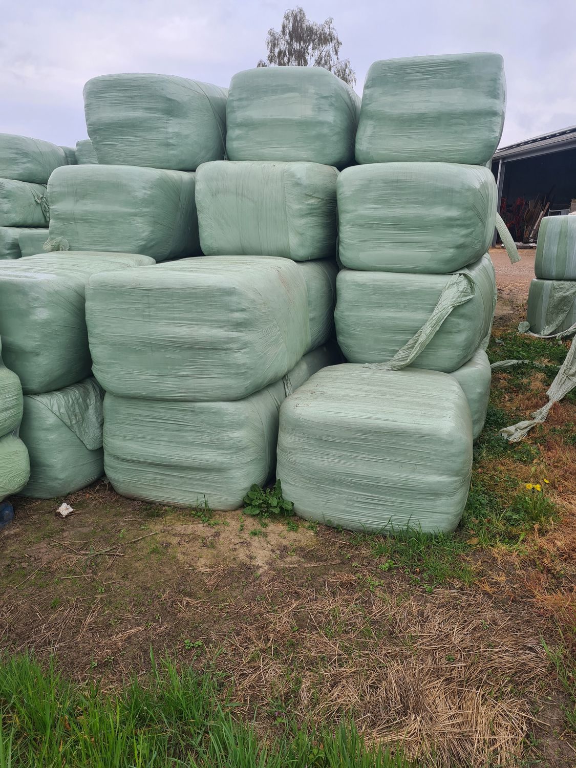 Voordrooghooi rechthoekige pakken 220 kg