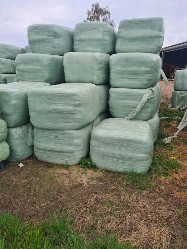 Voordrooghooi rechthoekige pakken 220 kg