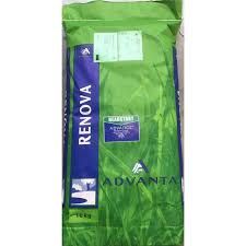 Gazonzaad Renova + Headstart