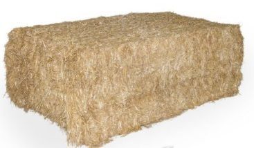 Tarwestro grote baal