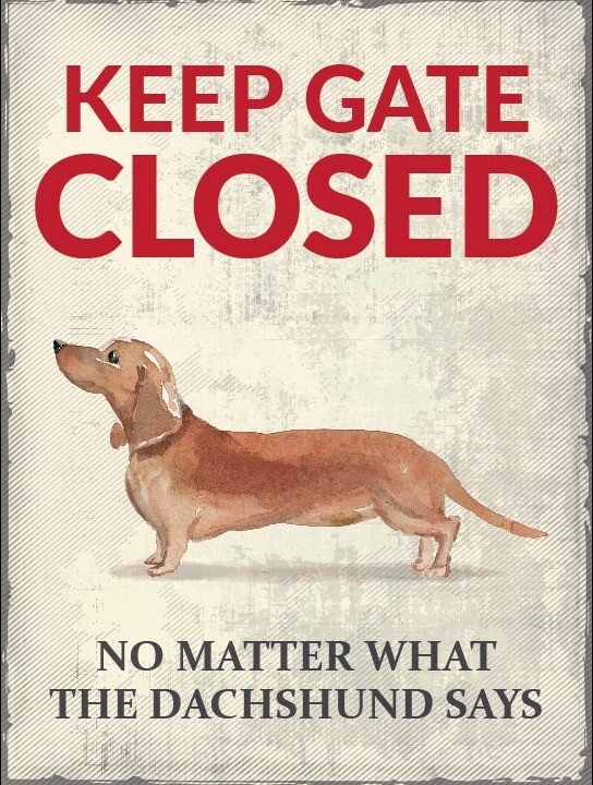 Keep Gate Closed - Brown Dachshund