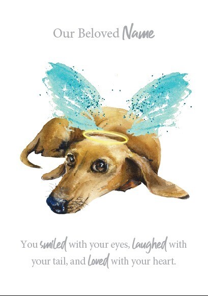 ​Custom Perspex Quote - Brown dog with  blue Wings