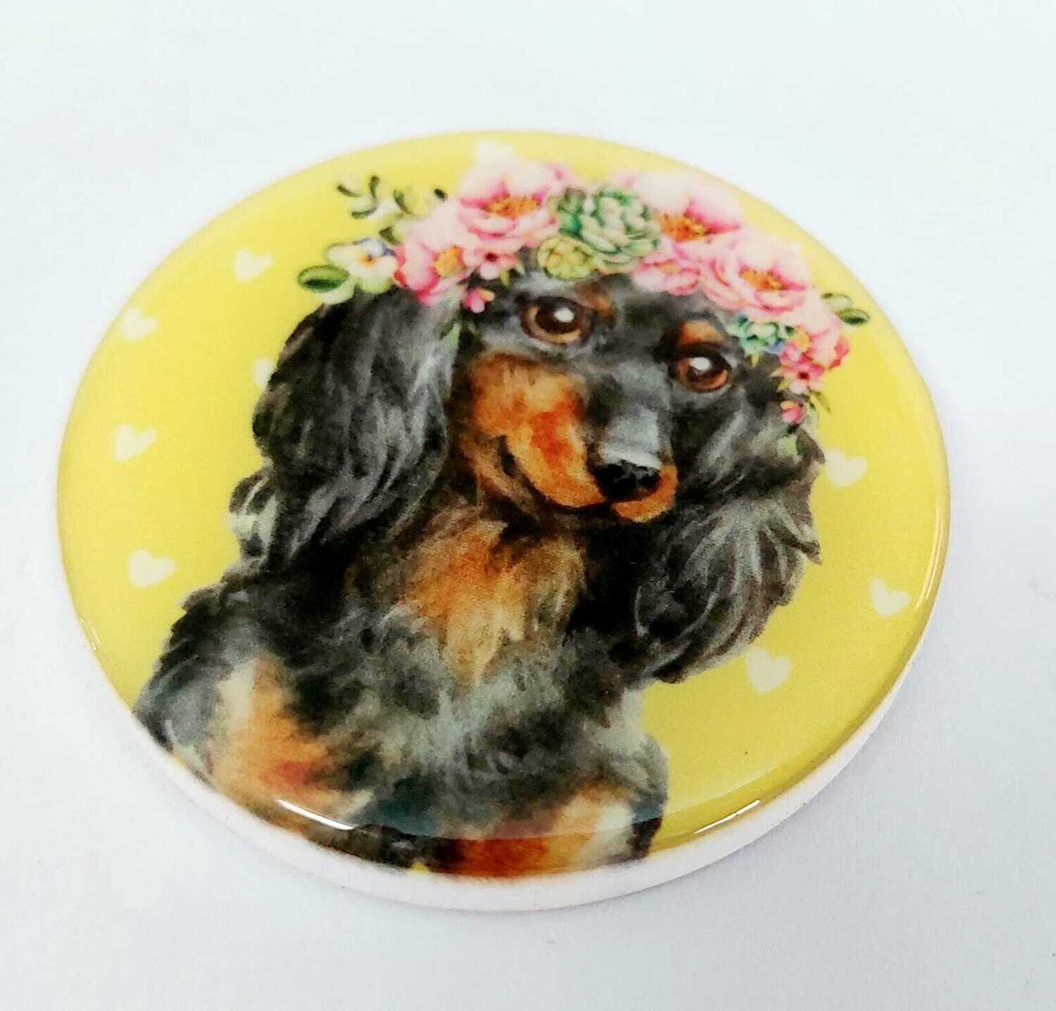 ​Magnet - Long haired Dachshund
