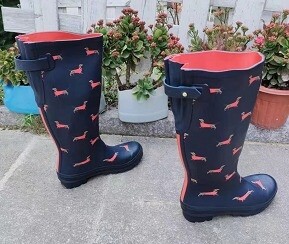 Imported Joules Wellington Boots - Red Dachshunds
