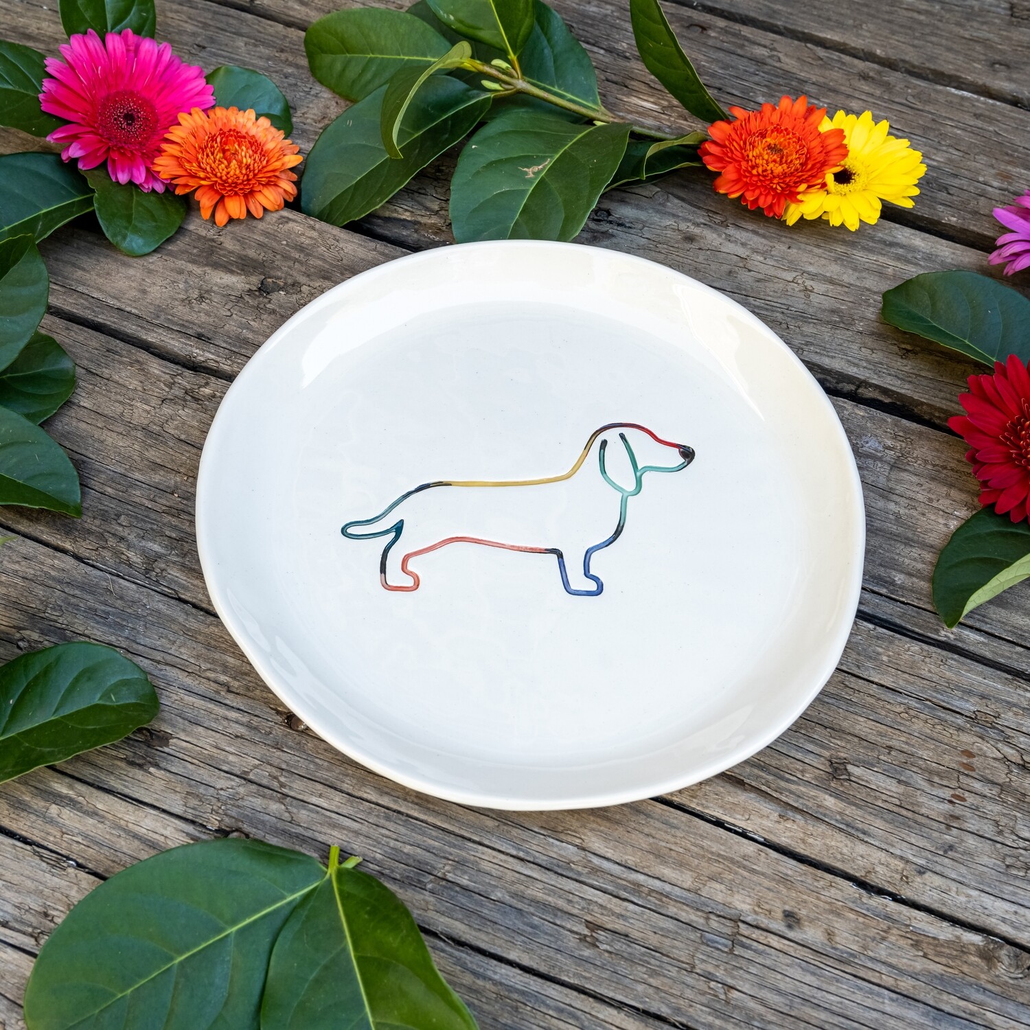 Dinner plate - Colour Dinner plate - Colour