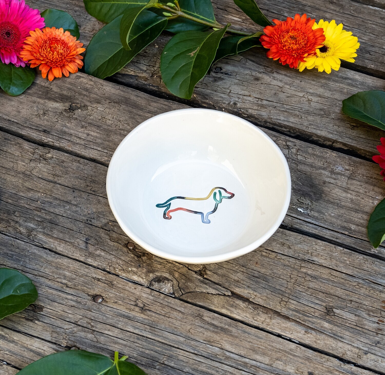 Ice cream Bowl - Colour Ice cream Bowl - Colour