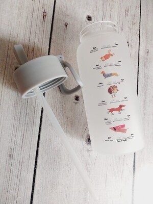 Sports Water Bottle - Exclusive