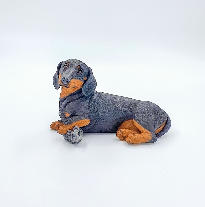 Short Haired Dachshund with Mouse