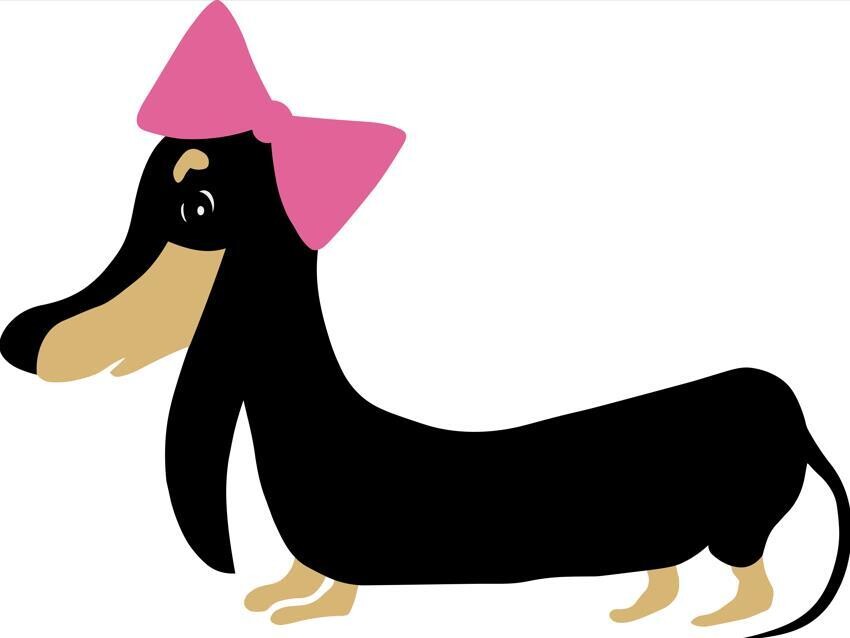 Car Sticker - Pretty lady Dachshund 