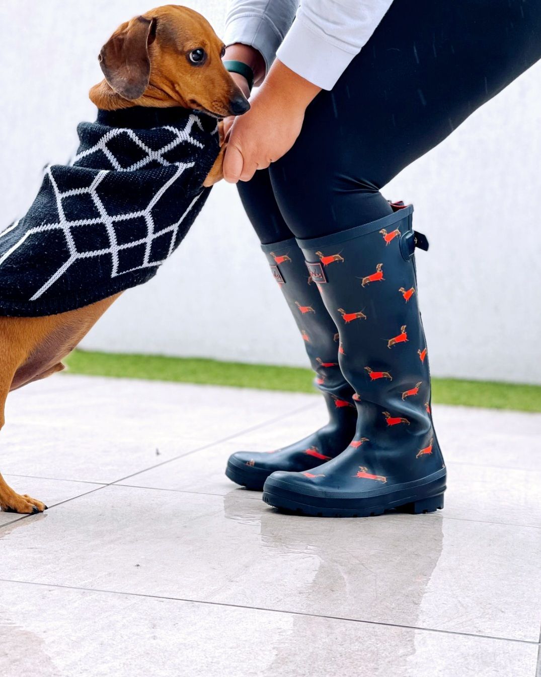 Wellington Boots
