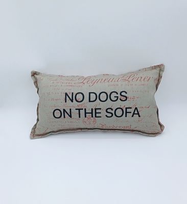 No Dogs on the Sofa Scatter Cushion 1