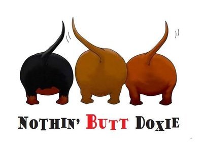 Car Sticker - Nothin Butt Doxie