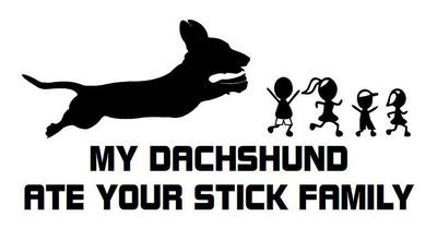 Car Sticker - Stick family