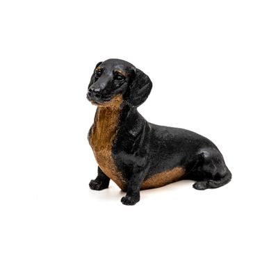 Short Haired Dachshund - 4 Short Haired Dachshund - 4