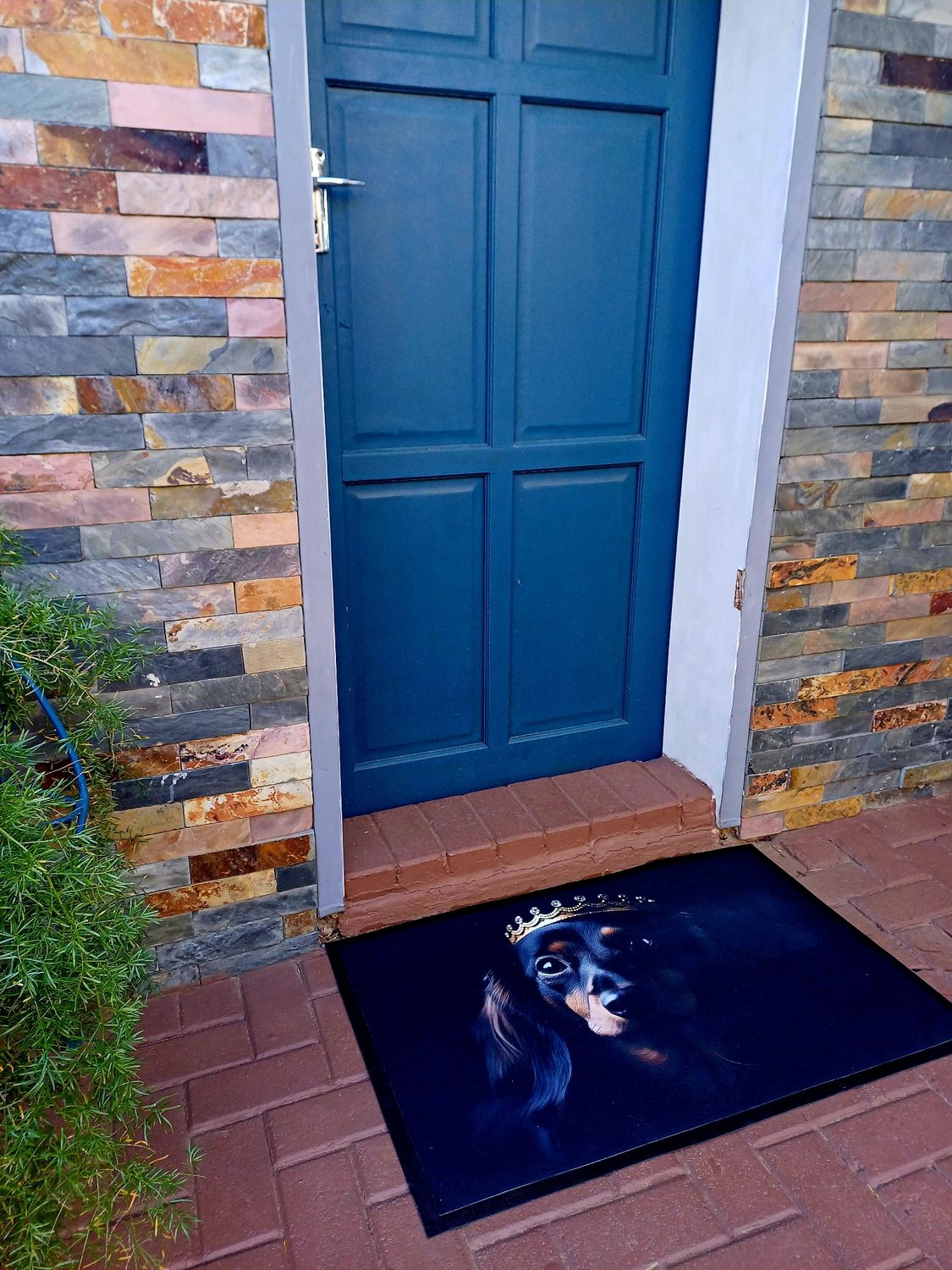Large Door Mat - Dachshund Royalty