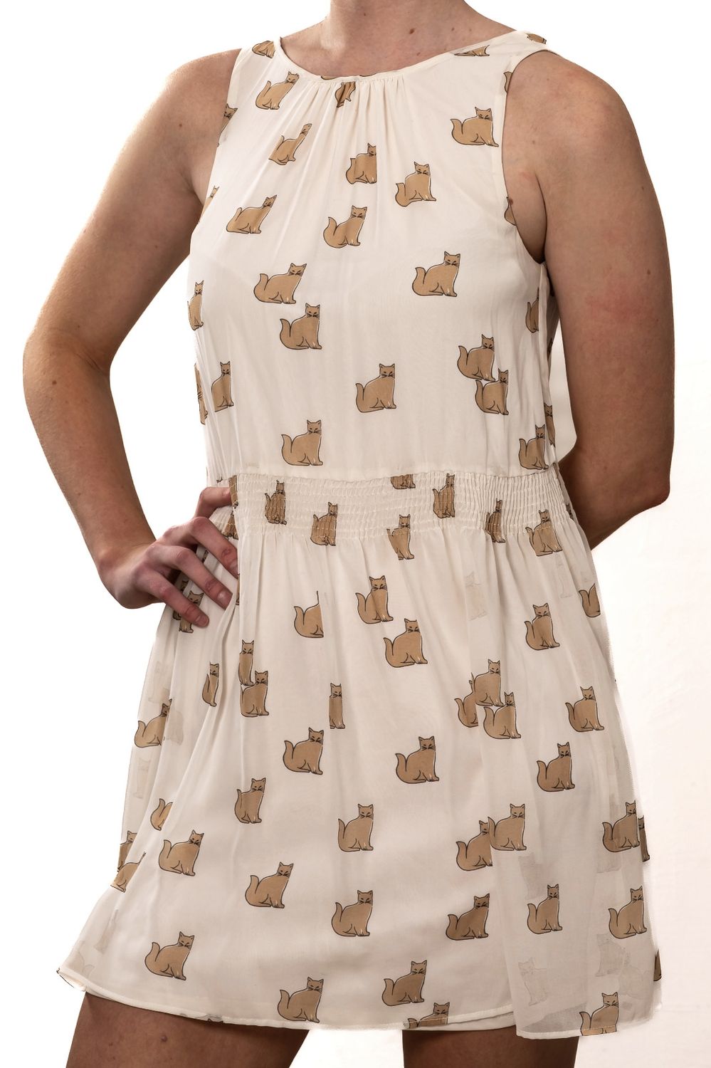 Zara Cat Print Dress