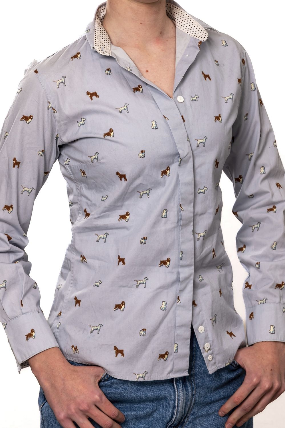 Blue Shirt with Mixed Breed Dogs