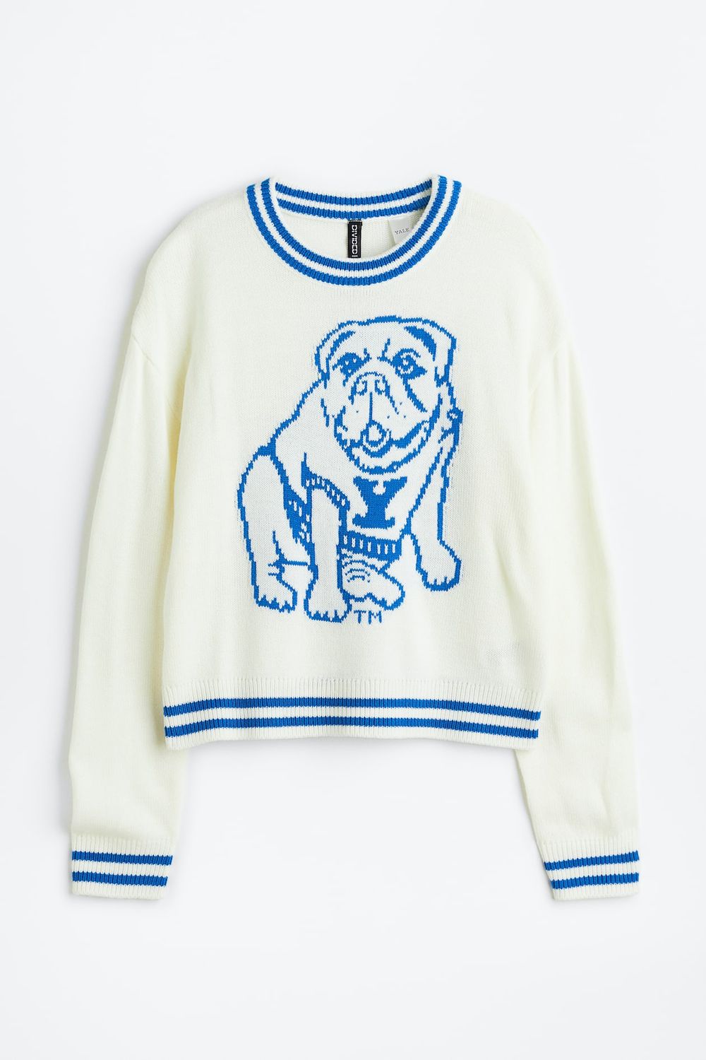 Yale bulldog blue & white knitted sweater - H&M