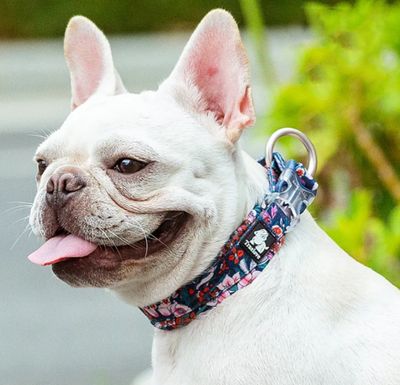 Truelove Floral Camouflage Pog Collar - Navy Blazer Truelove Floral Camouflage Pog Collar - Navy Blazer