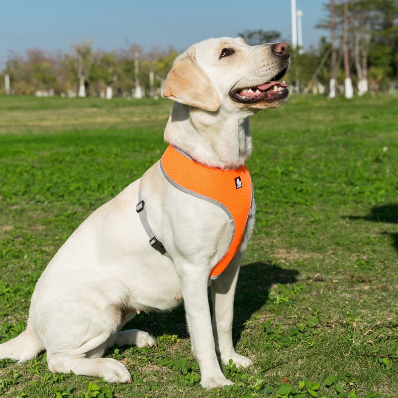 Truelove Soft Mesh Harness - X -Large