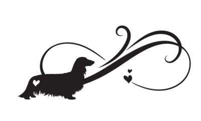 ​Infinity Dachshund Long Haired - Car Sticker