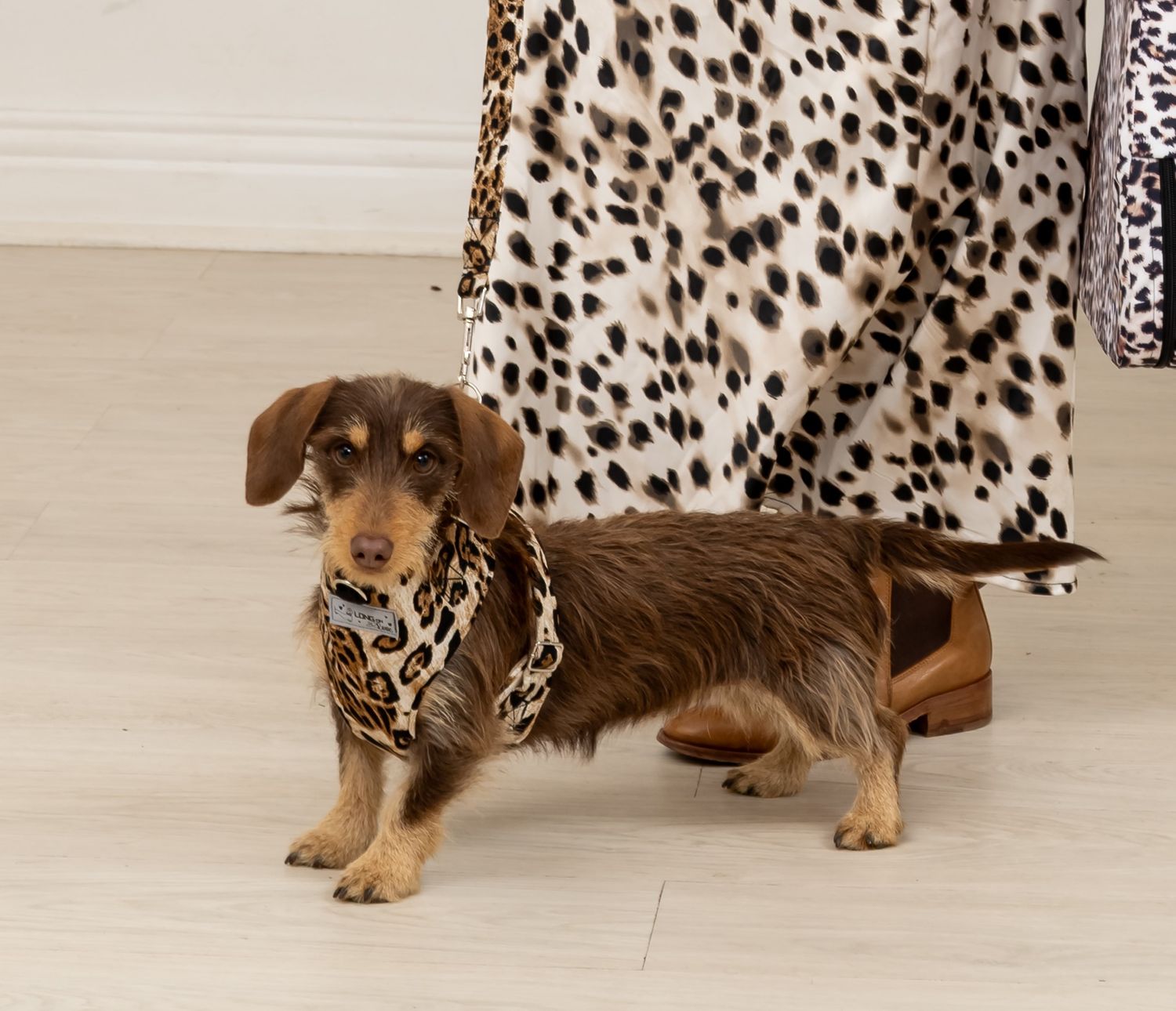 Chest Harness & Leash - Dark animal print - Small Chest Harness & Leash - Dark animal print - Small