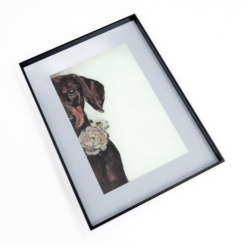 Framed Print - Black Dachshund & Roses Framed Print - Black Dachshund & Roses