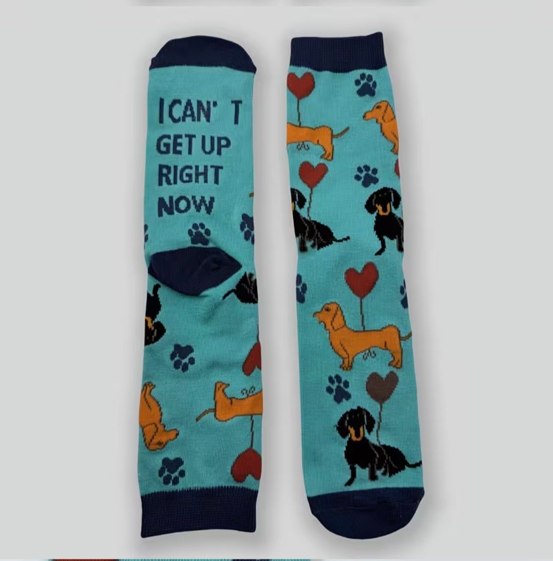 Socks - Turquoise socks with dachshunds & hearts