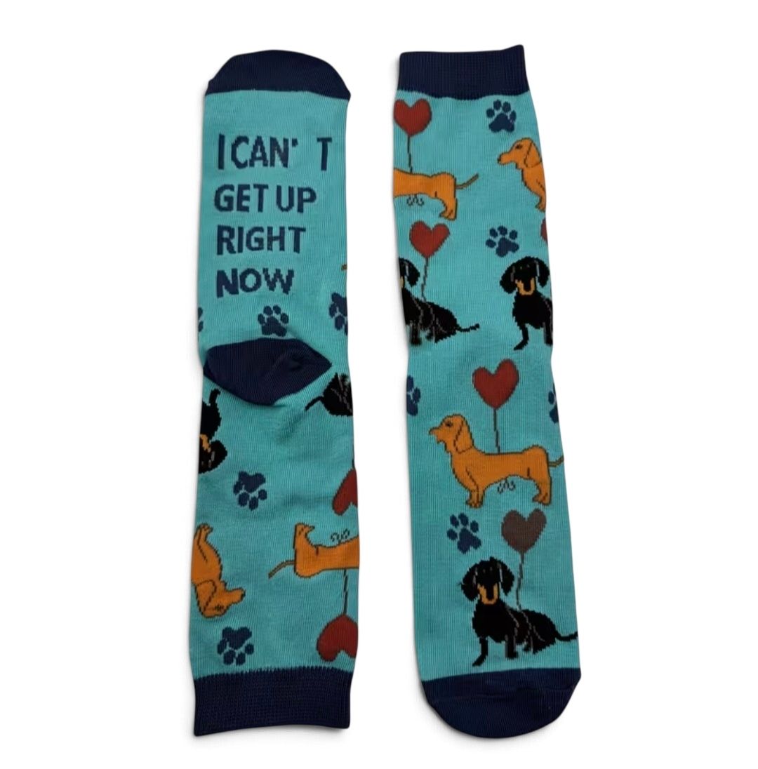 Socks - Turquoise socks with dachshunds & hearts