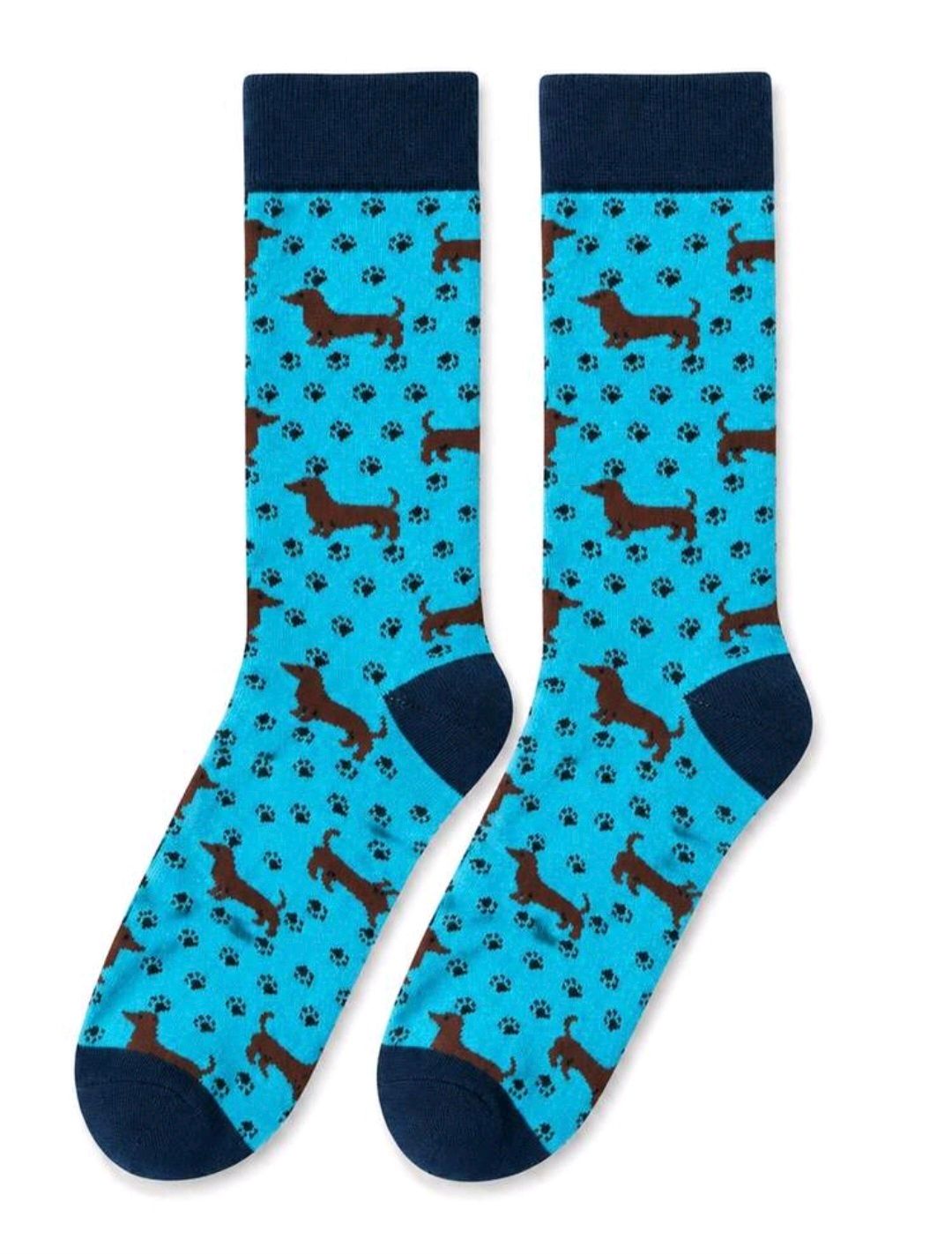 Socks - Blue with brown Dachshunds