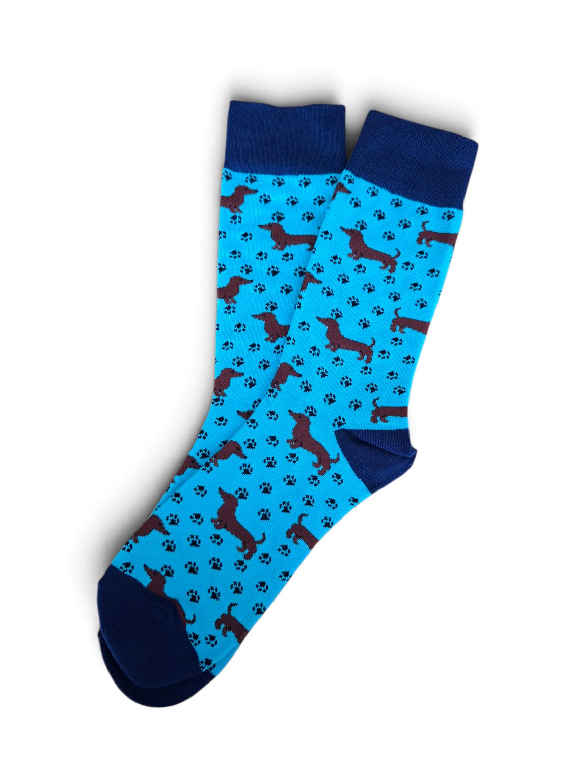 Socks - Blue with brown Dachshunds