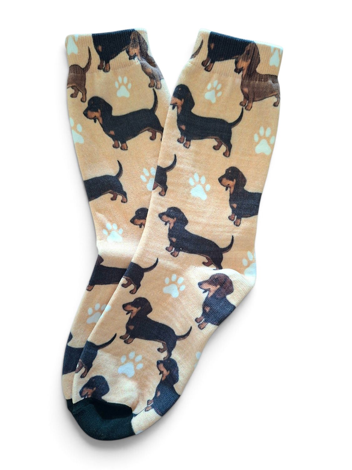 Socks - light tan with prints of black and tan dachshunds 